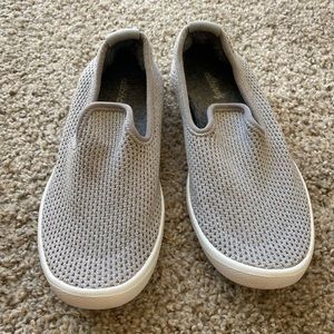 Allbirds Tree Loungers